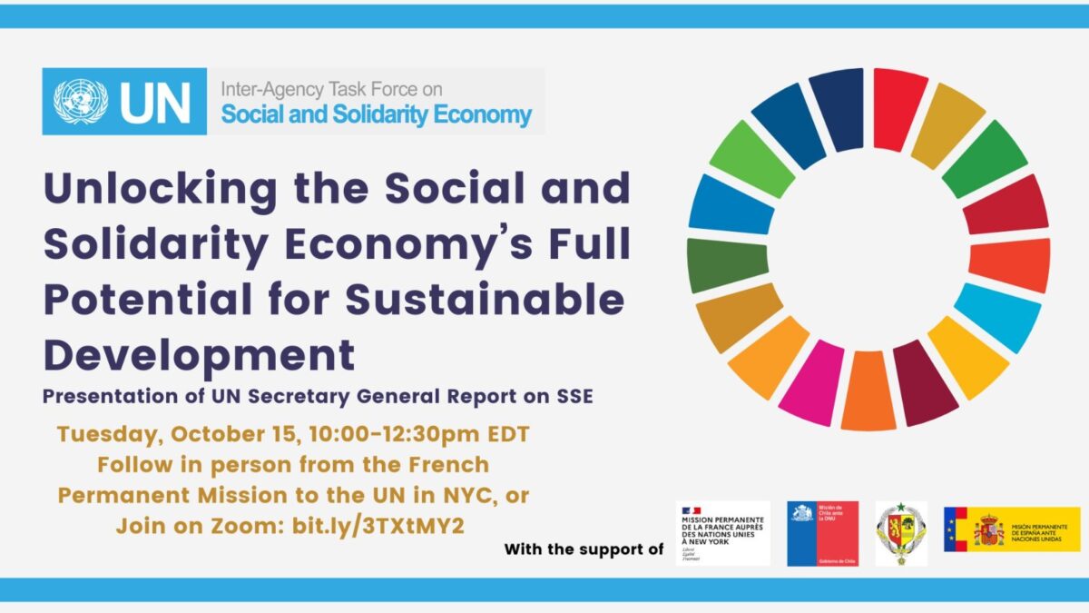 Desbloqueando todo el potencial de la Economía Social Solidaria (ESS ...
